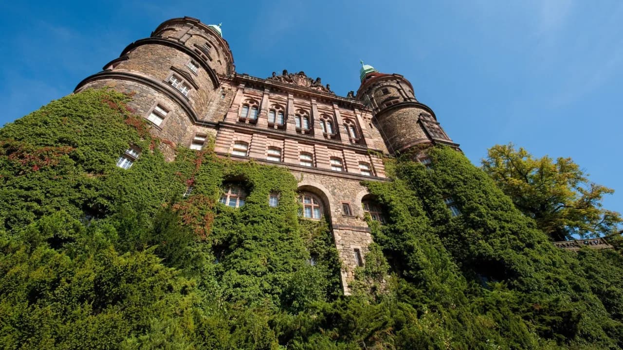 Zamek Książ gdzie zjeść - najlepsze restauracje i ukryte skarby kulinarne