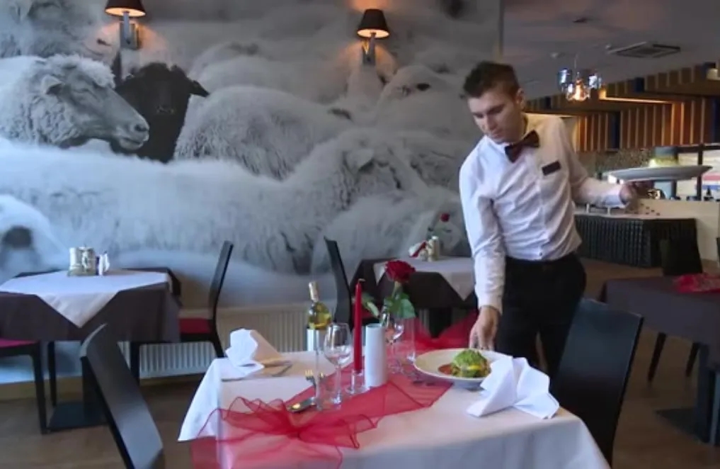 Gdzie zjeść w Piwnicznej-Zdroju? Odkryj najlepsze lokale gastronomiczne