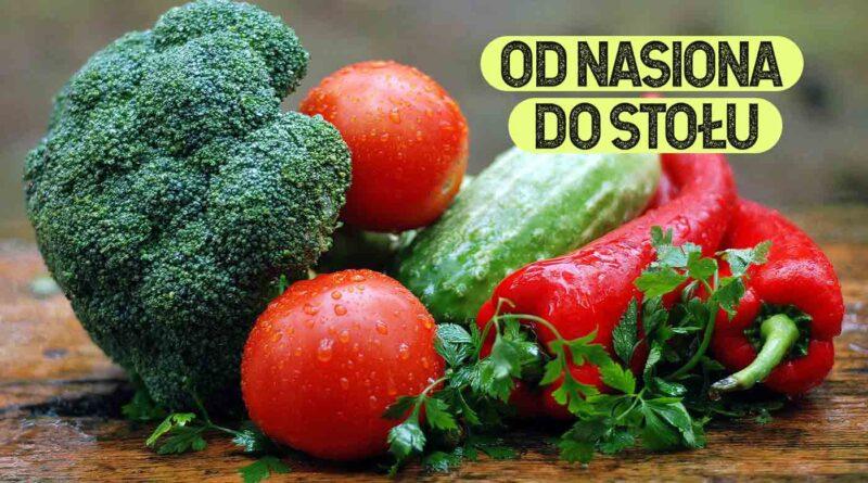 od nasiona do stołu