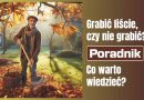 Grabić liście, czy nie grabić? [Poradnik]